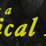 Becoming a Medical Mom Goodreads&nbsp;Giveaway