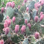 Hitting a Rough&nbsp;Patch