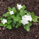 What Can I Do to&nbsp;Help?