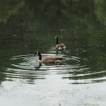 Why Every Circle of Friends Needs a Medical&nbsp;Mom